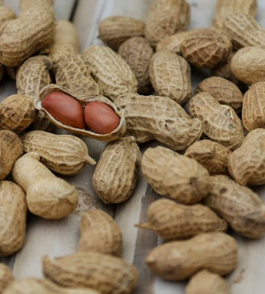 Vegetarische Ernährung und Lebensmittelallergien: Tipps für Familien