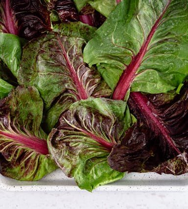 Vitamin B9 (Folsäure) in der veganen Ernährung