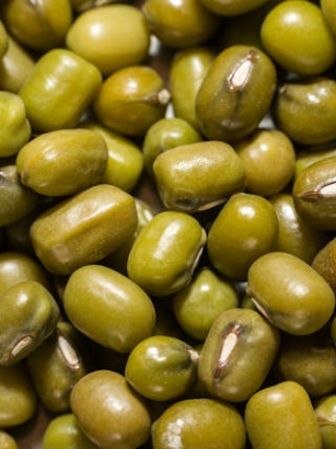 Mungbohnen in der vegetarischen Ernährung: Nährstoffe, Wirkung und kreative Rezepte