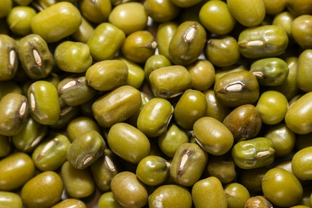 Mungbohnen in der vegetarischen Ernährung: Nährstoffe, Wirkung und kreative Rezepte