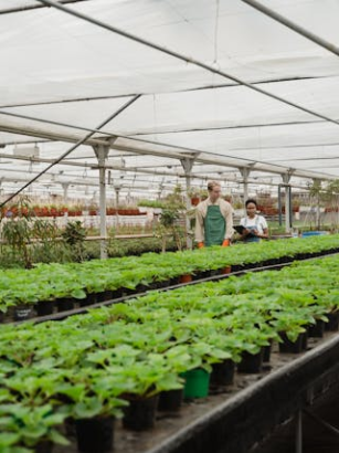 Wie vegetarische Ernährung Wasserressourcen schont