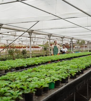 Wie vegetarische Ernährung Wasserressourcen schont