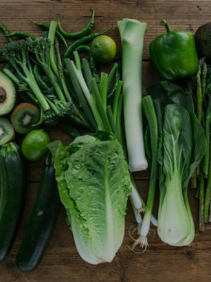 Vegetarische Ernährung und soziale Verantwortung