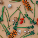 Vegetarische Ernährung und Schwangerschaftsvorbereitung: Fit ins Elternsein