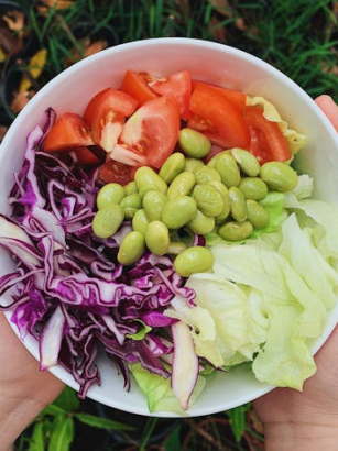 Vegetarische Rotkohl Rezepte