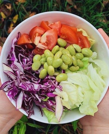 Vegetarische Rotkohl Rezepte