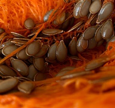 Zink in der veganen Ernährung