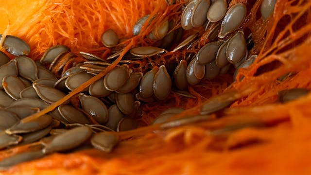 Zink in der veganen Ernährung