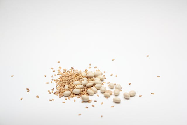 Pflanzliche Omega-3-Quellen im Überblick: Gesunde Fette für Herz und Gehirn