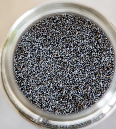 Pflanzliche Kalziumquellen im Überblick: Starke Knochen ohne Milchprodukte