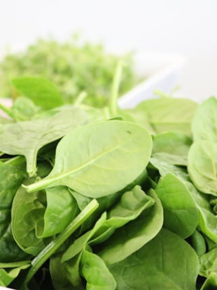 Pflanzliche Fluoridquellen im Überblick: Spurenelement für starke Zähne und Knochen