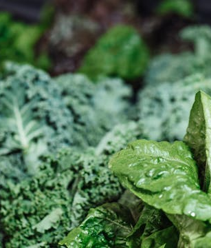 Pflanzliche Eisenquellen im Überblick: Tipps für eine eisenreiche Ernährung