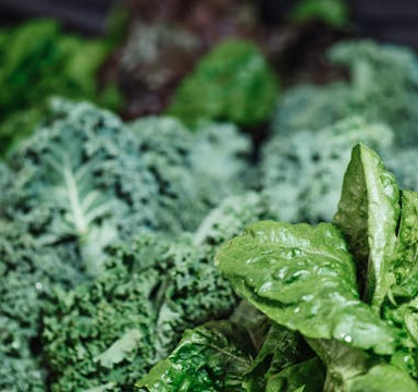 Pflanzliche Eisenquellen im Überblick: Tipps für eine eisenreiche Ernährung