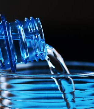 Pflanzliche Natriumquellen im Überblick: Wichtig für Flüssigkeitshaushalt und Nerven