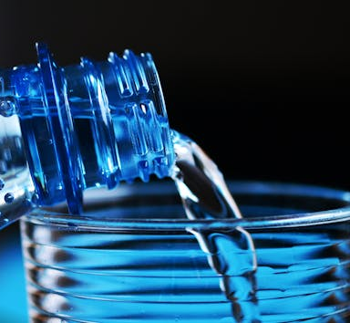 Pflanzliche Natriumquellen im Überblick: Wichtig für Flüssigkeitshaushalt und Nerven