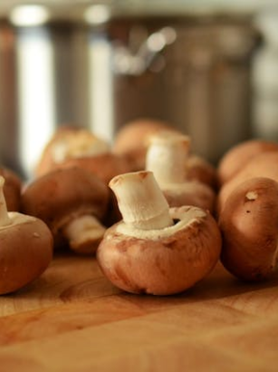 Pflanzliche Zinkquellen im Überblick: Immunsystem und Stoffwechsel stärken