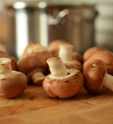 Pflanzliche Zinkquellen im Überblick: Immunsystem und Stoffwechsel stärken