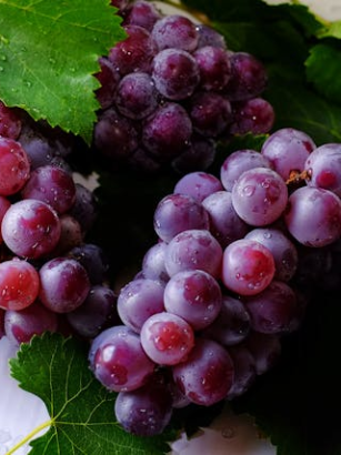 Pflanzliche Chromquellen im Überblick: Spurenelement für Blutzucker und Stoffwechsel