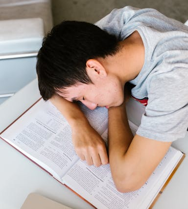 Vitamin-B12-Mangel bei Vegetariern: Ursachen, Symptome und pflanzliche Lösungen