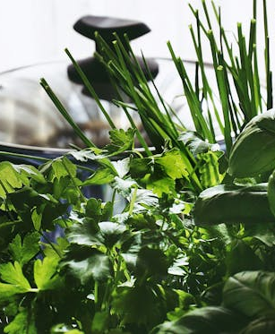 Pflanzliche Vitamin-K-Quellen im Überblick: Wichtig für Blutgerinnung und Knochen