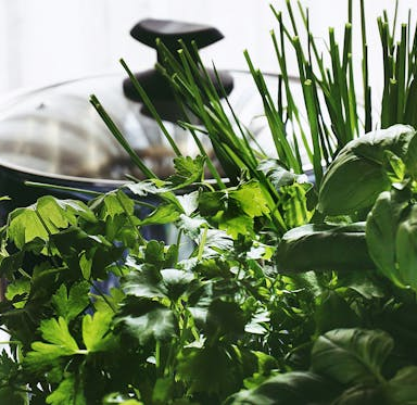 Pflanzliche Vitamin-K-Quellen im Überblick: Wichtig für Blutgerinnung und Knochen