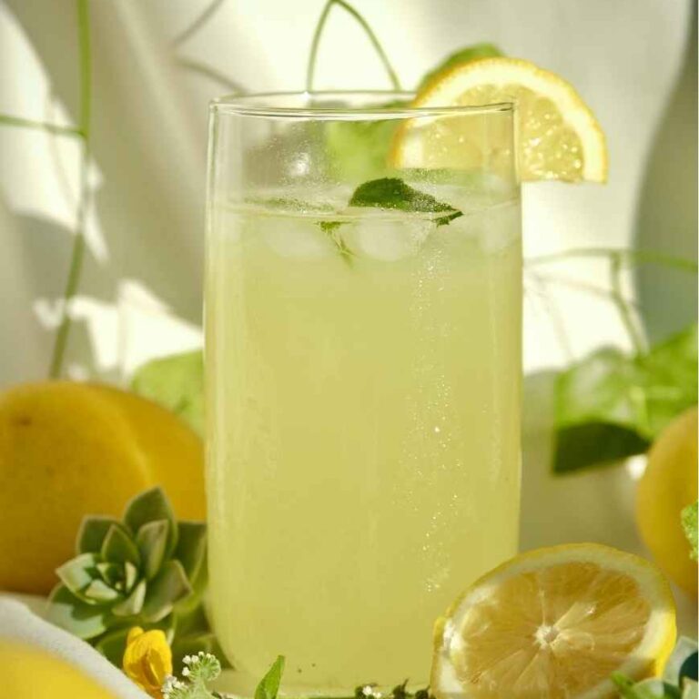 Hausgemachte Zitronenlimonade - Rezept