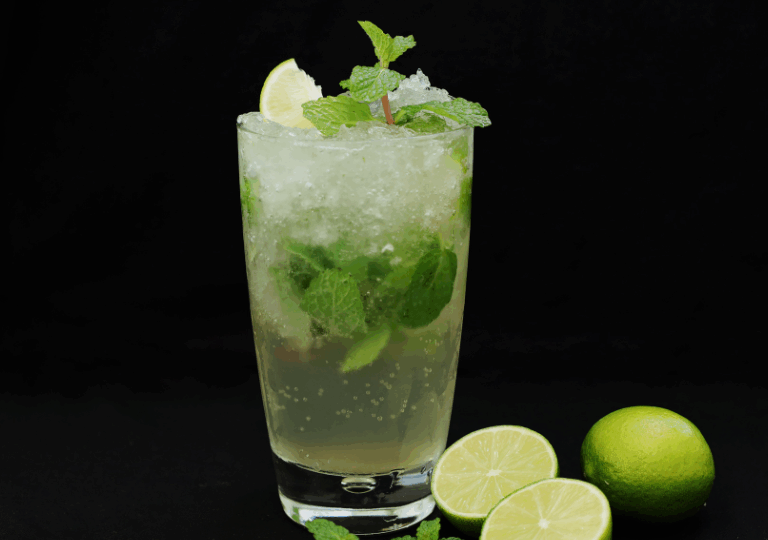 Zitronen-Minze-Saft-Rezept