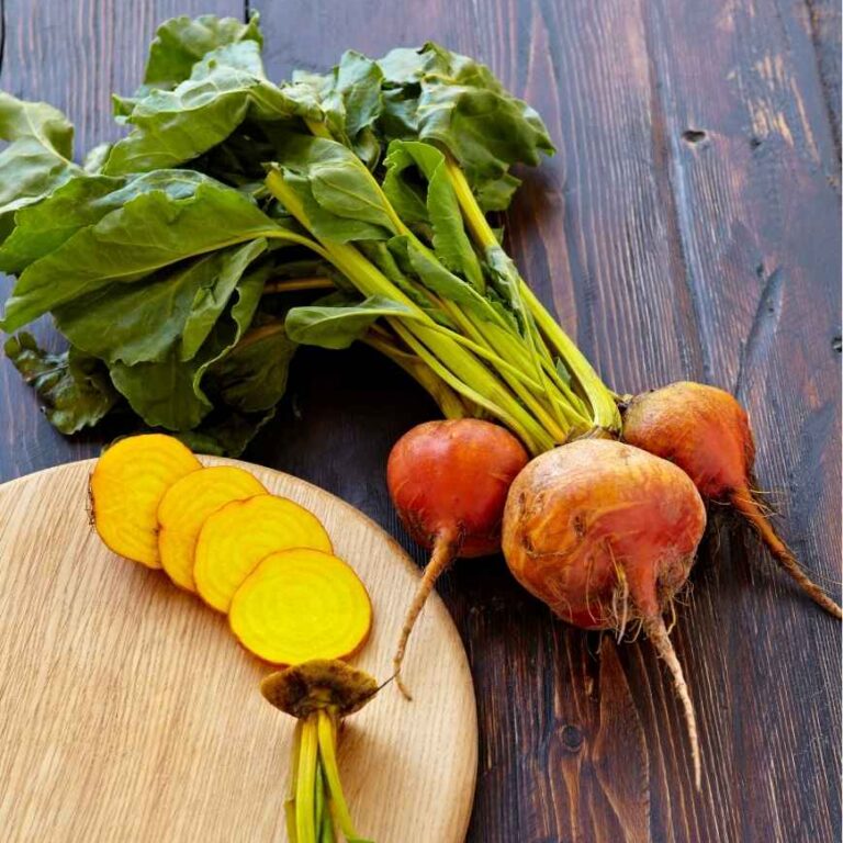 Vegetarische Gelbe Bete Rezepte