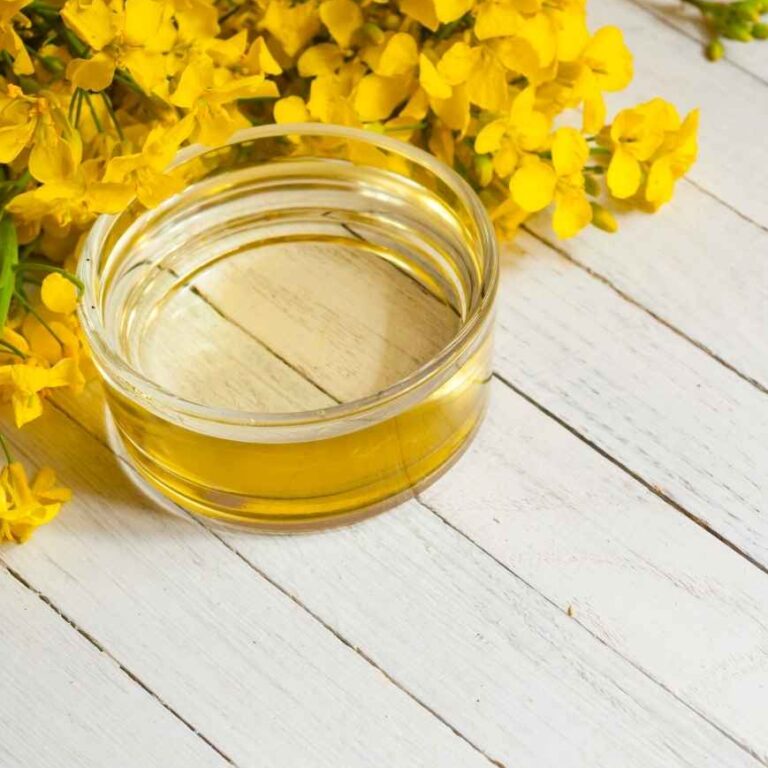 Rapsöl in der vegetarischen Ernährung