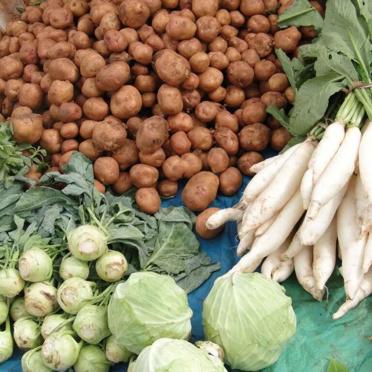 Einkaufen auf dem Wochenmarkt: Tipps für Vegetarier:innen