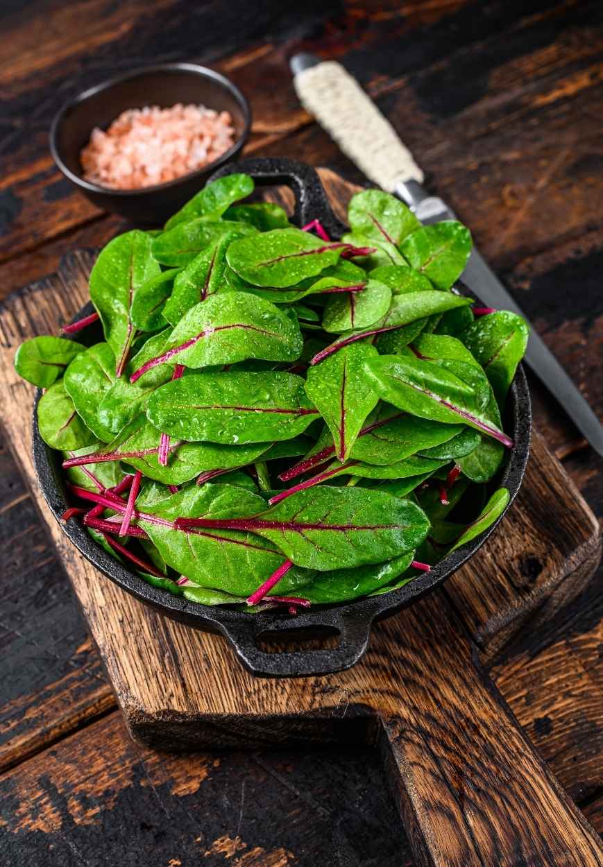 Vegetarische Mangold Rezepte