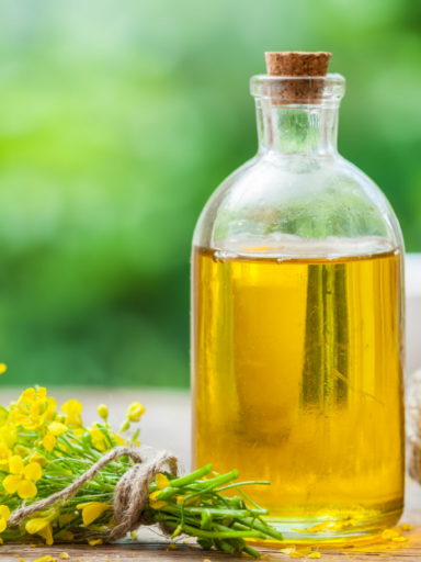 Rapsöl in der vegetarischen Ernährung