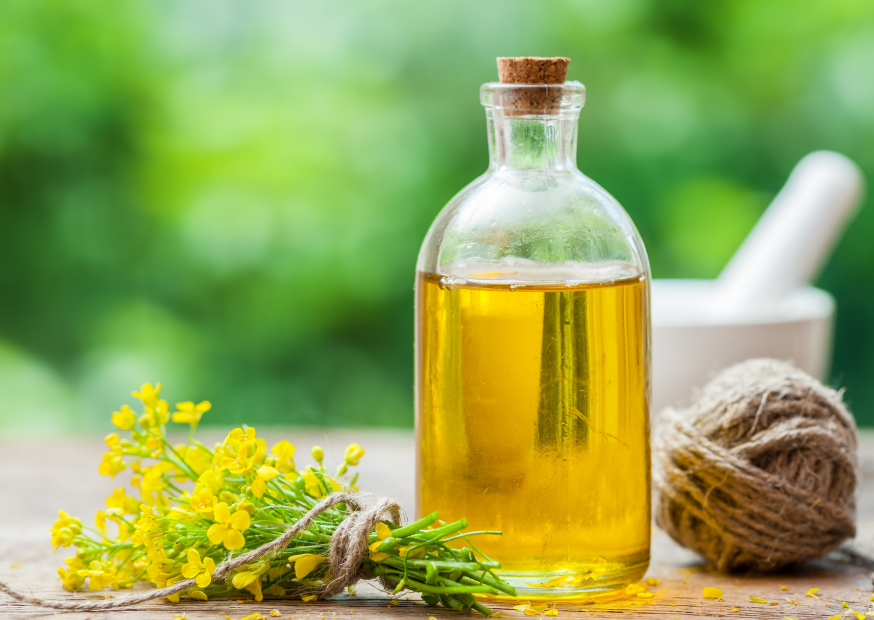 Rapsöl in der vegetarischen Ernährung