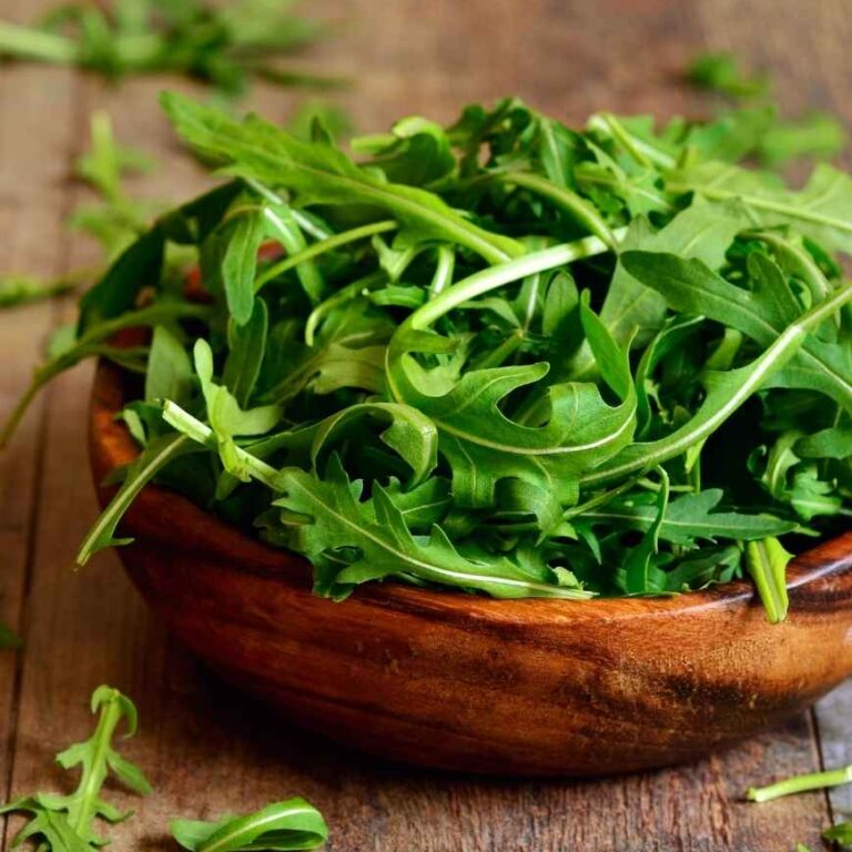 Rucola in der vegetarischen Ernährung – Nährstoffe, Vorteile und Verwendungsideen